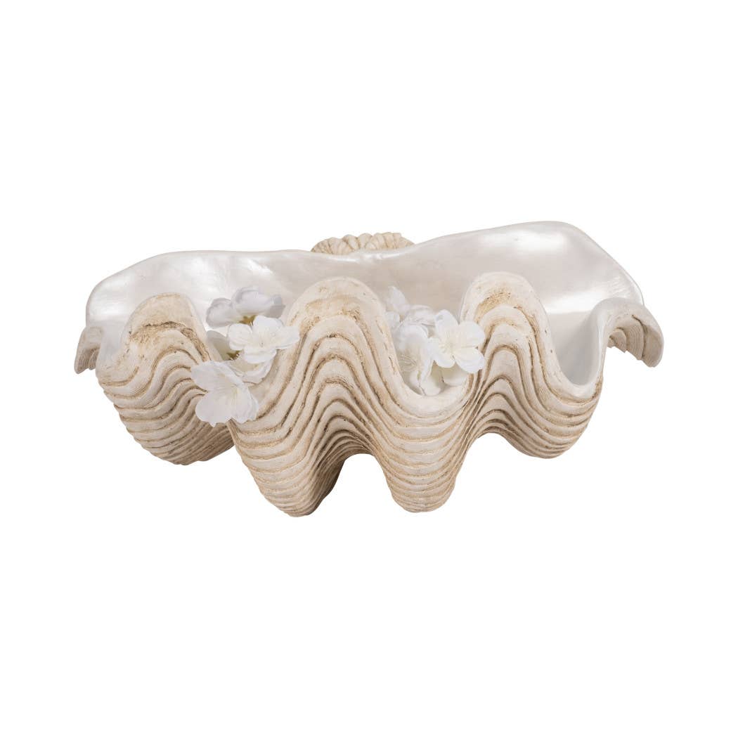 Coastal Muse Clam
