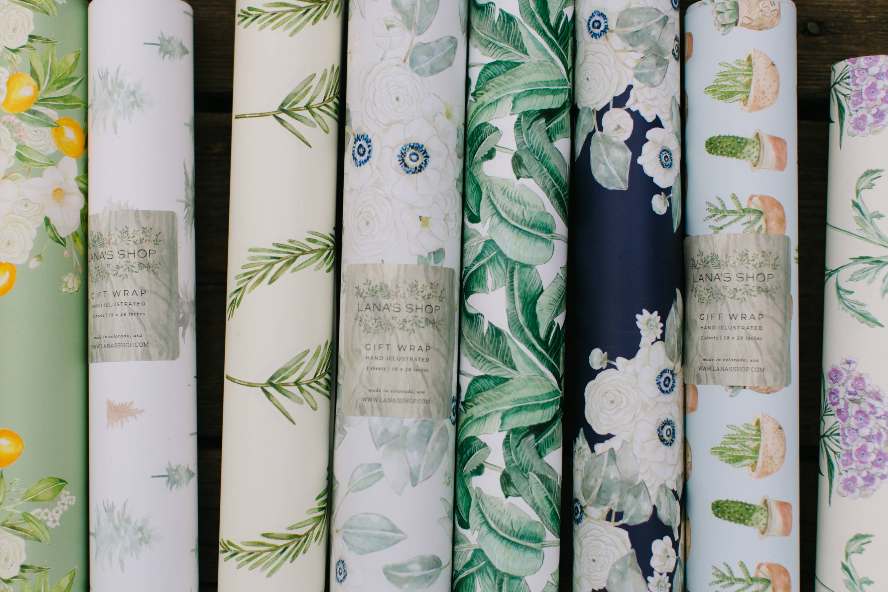 Floral Botanic Gift Wrap Roll - Salt & Creek