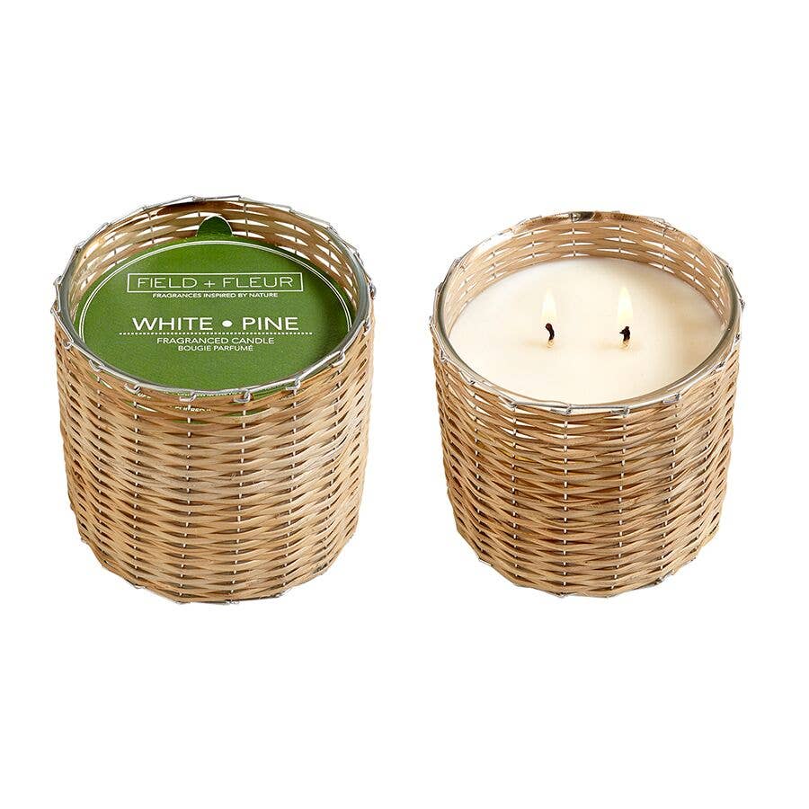 White Pine 2 Wick Candle - Salt & Creek