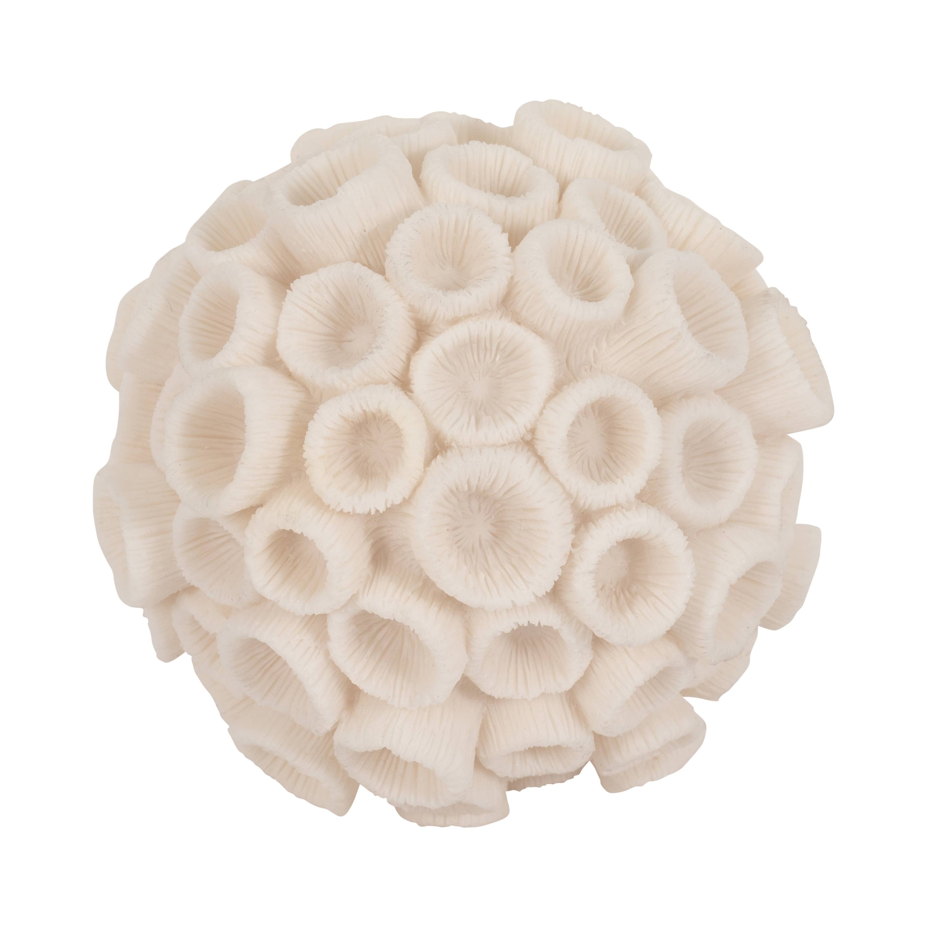Sculptural Coral