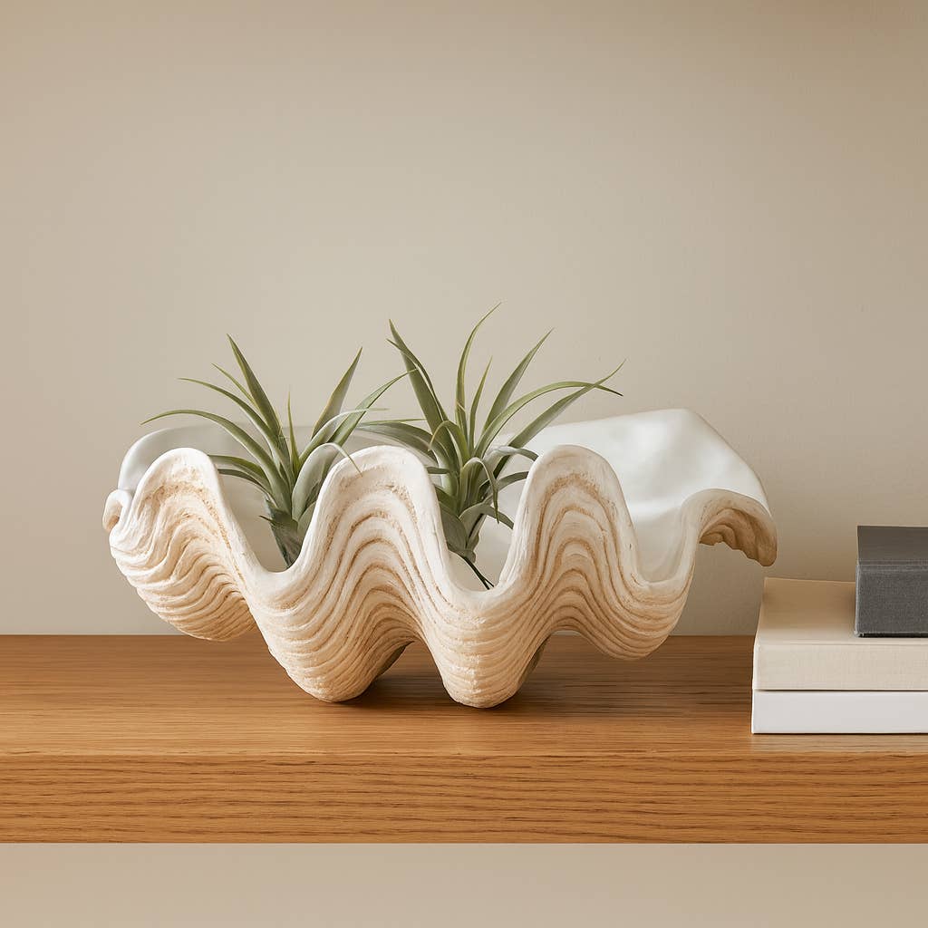Coastal Muse Clam