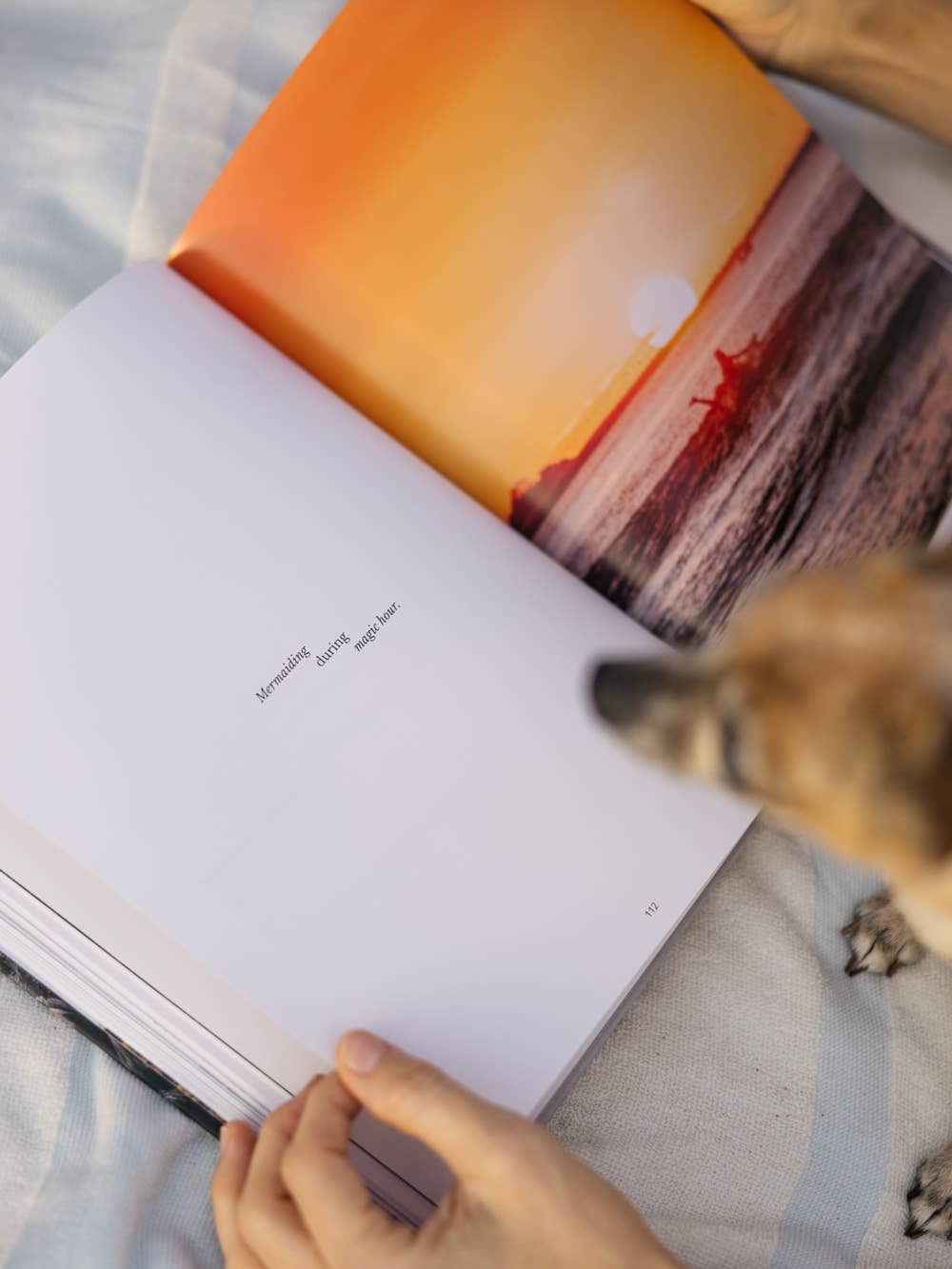 Costa Rica Coffee Table Book