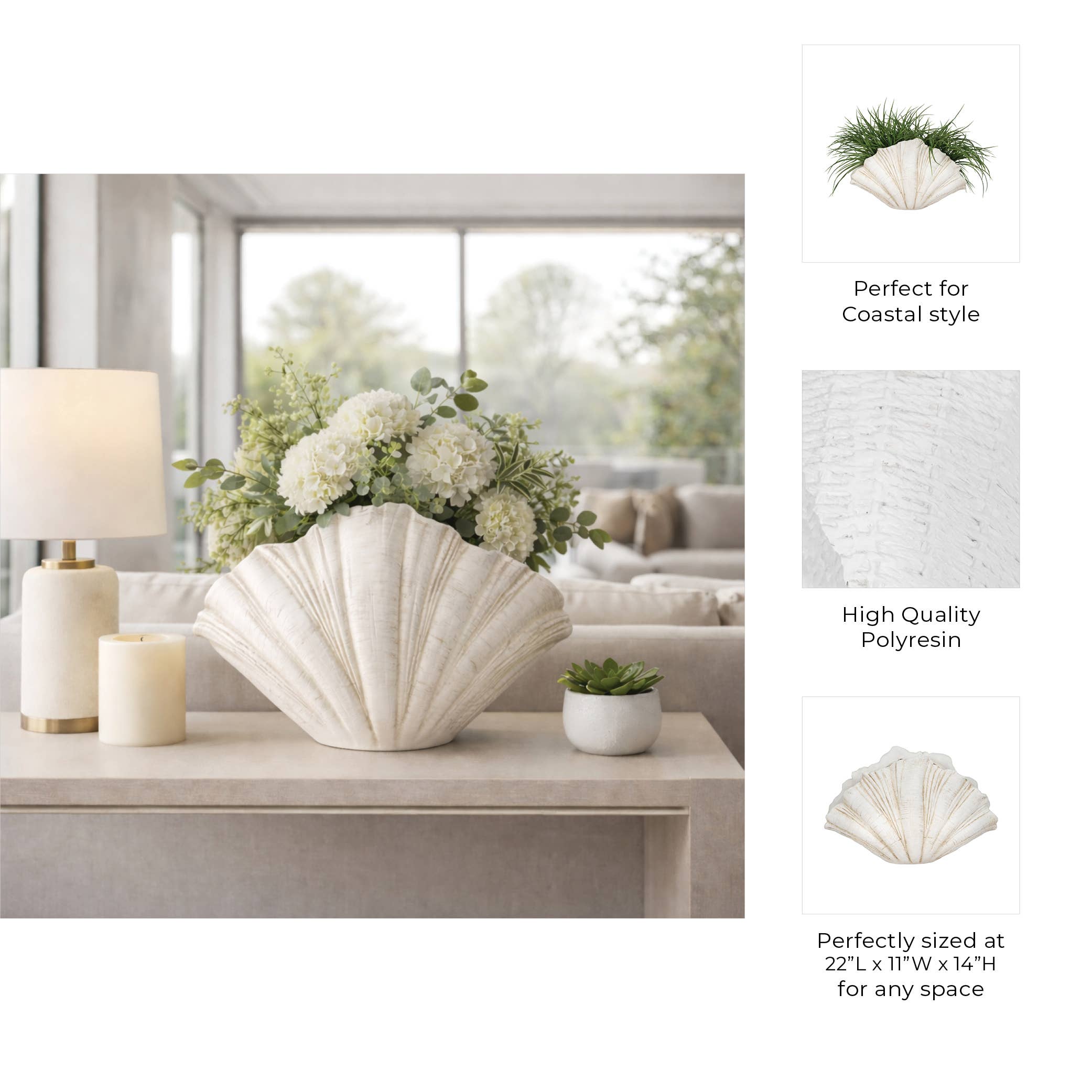 Coastal Scallop Shell