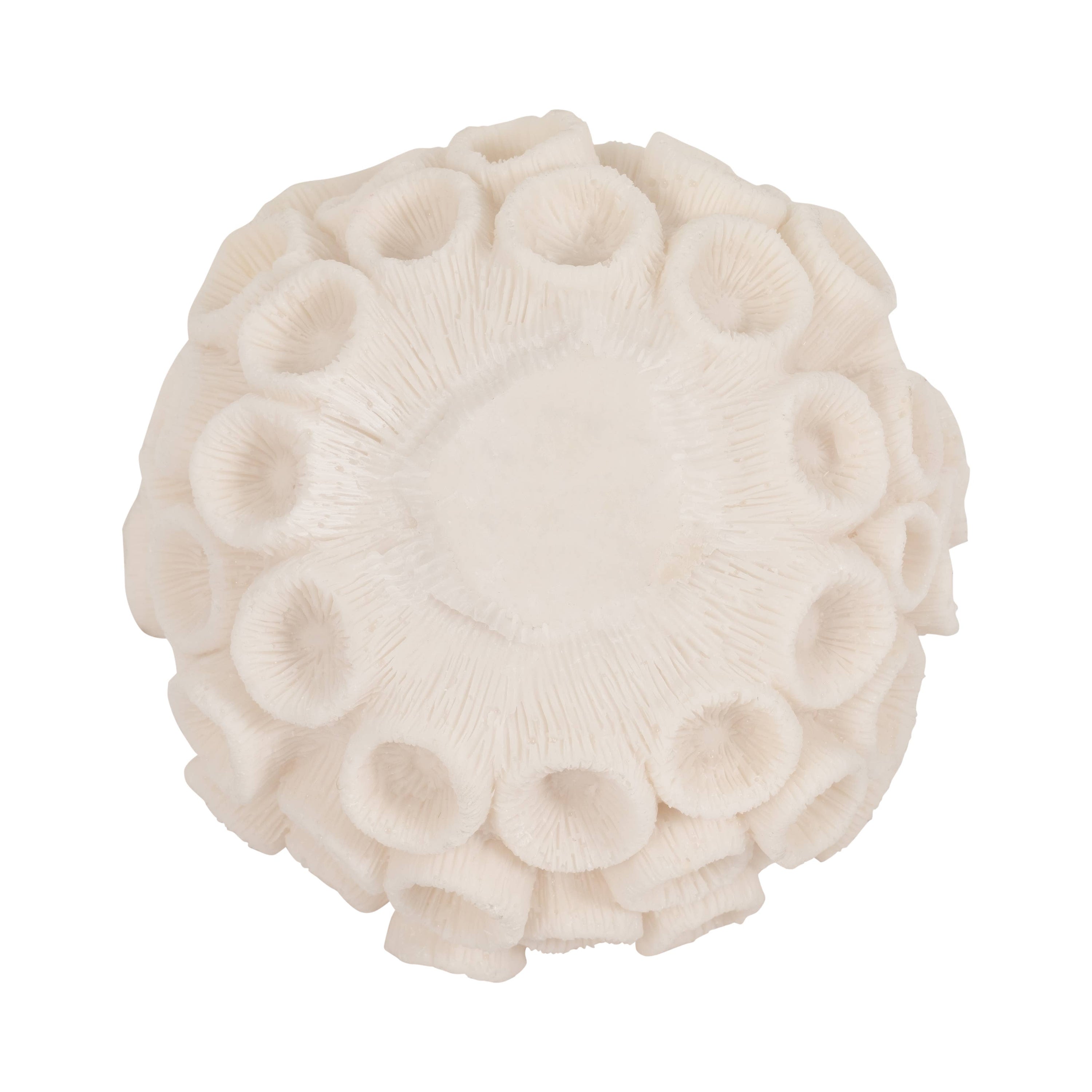 Sculptural Coral