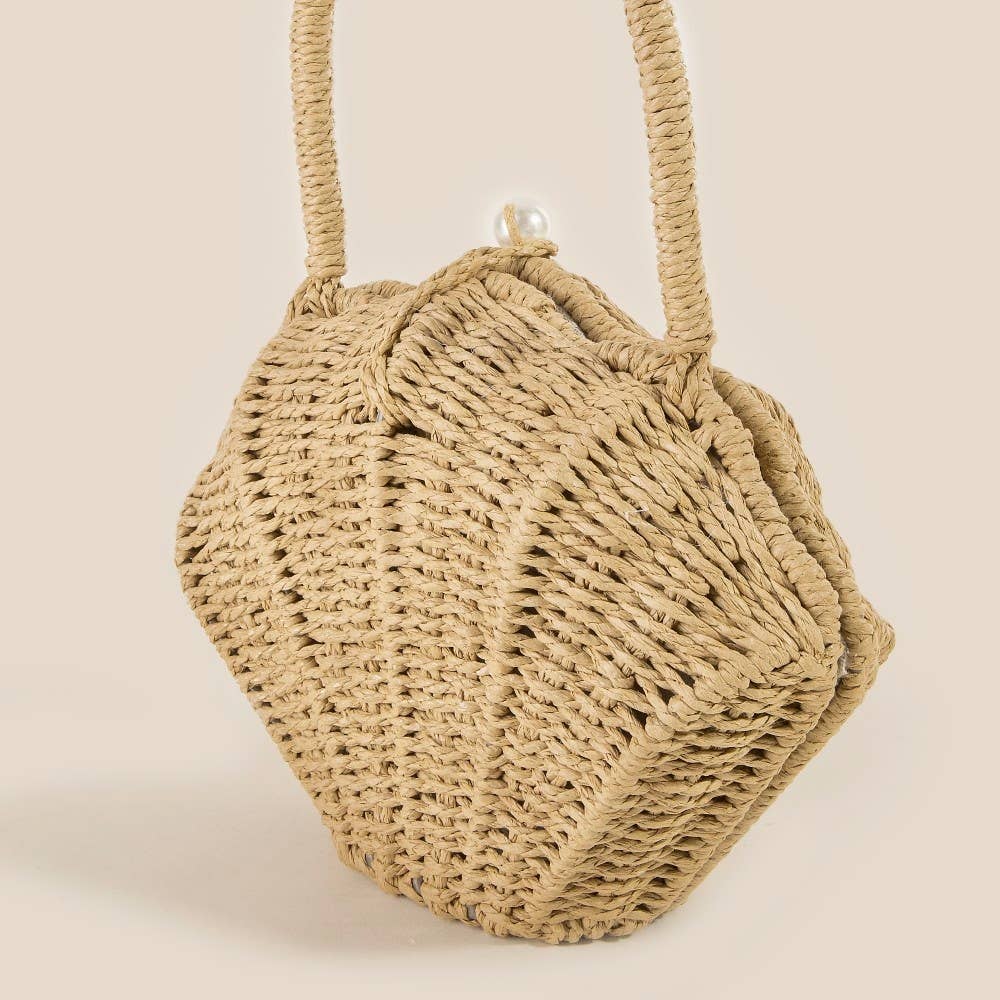 Straw Shell Braided Top Handle Bag