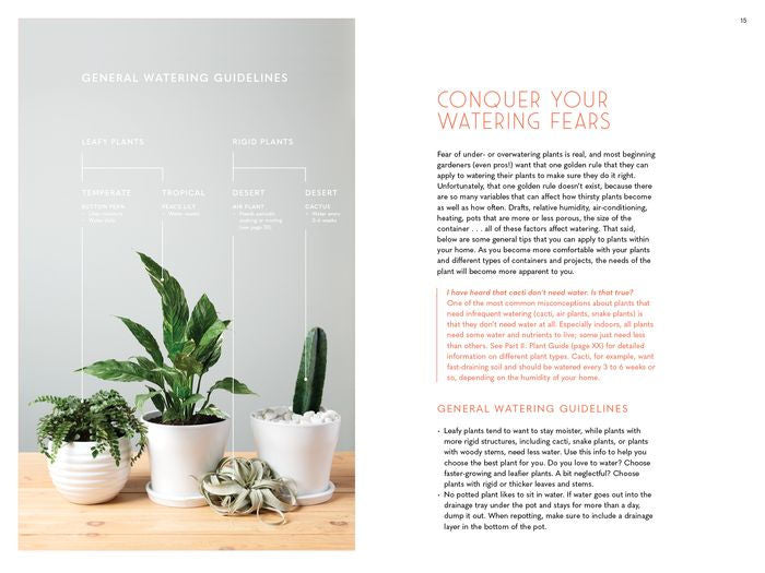 The Inspired Houseplant - Salt & Creek