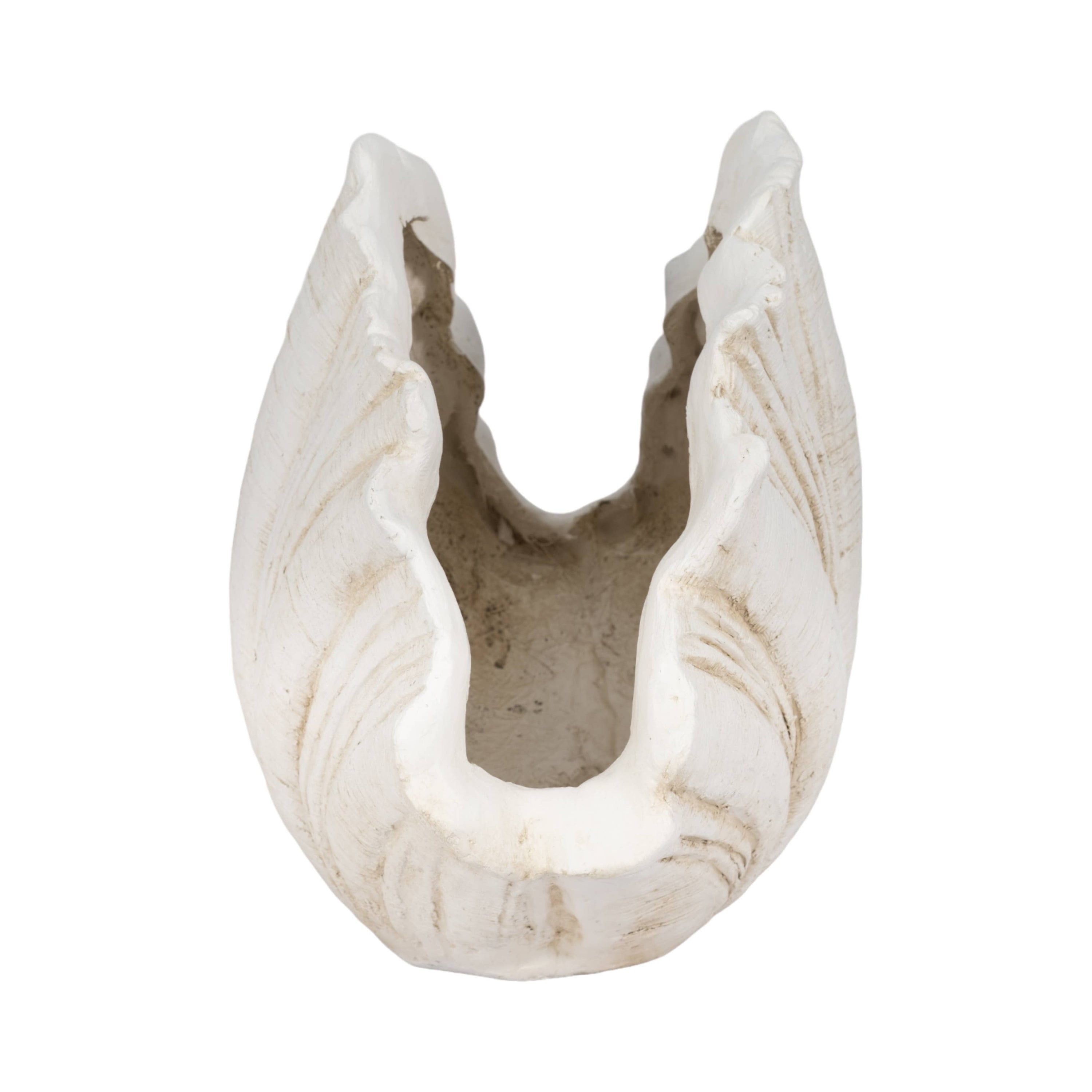 Coastal Scallop Shell