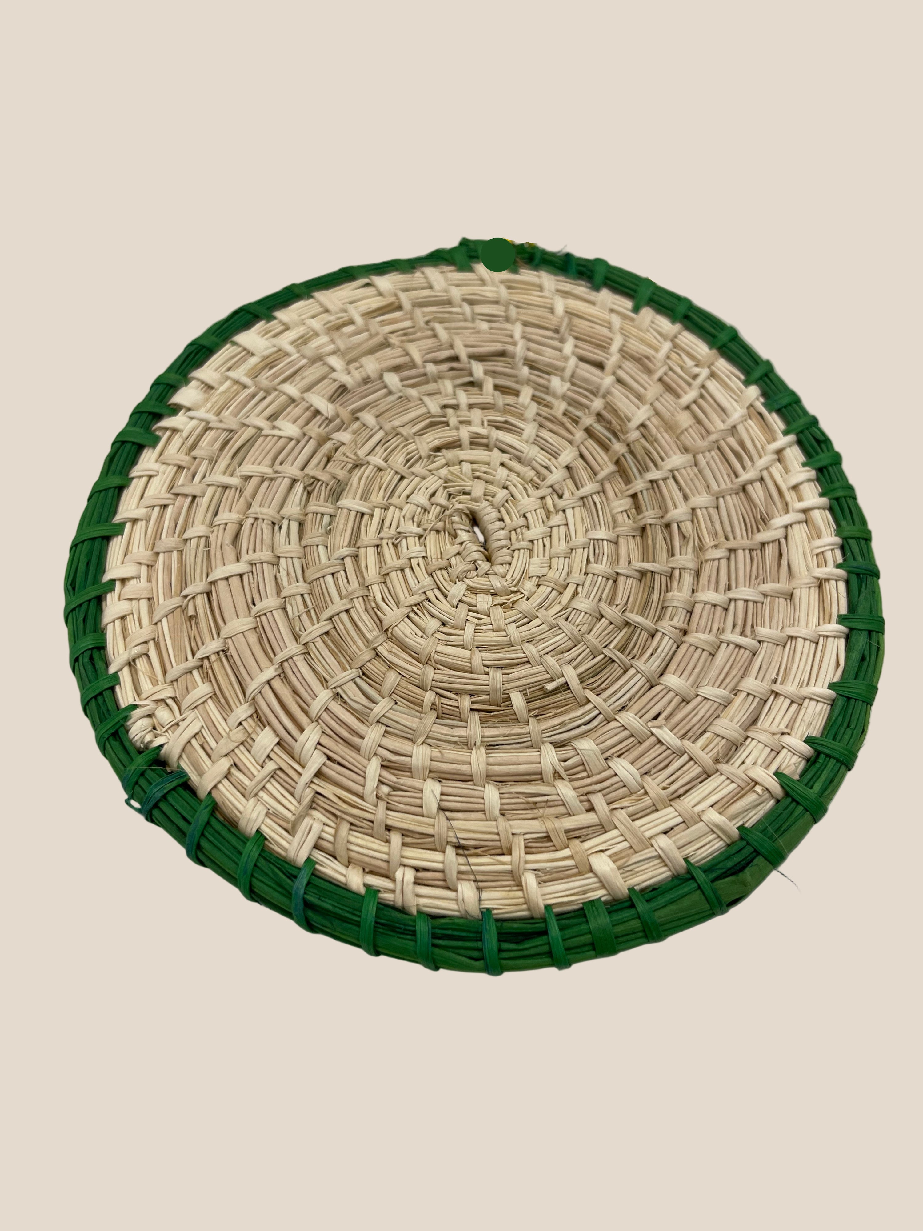 Rollo Coaster - Salt & Creek