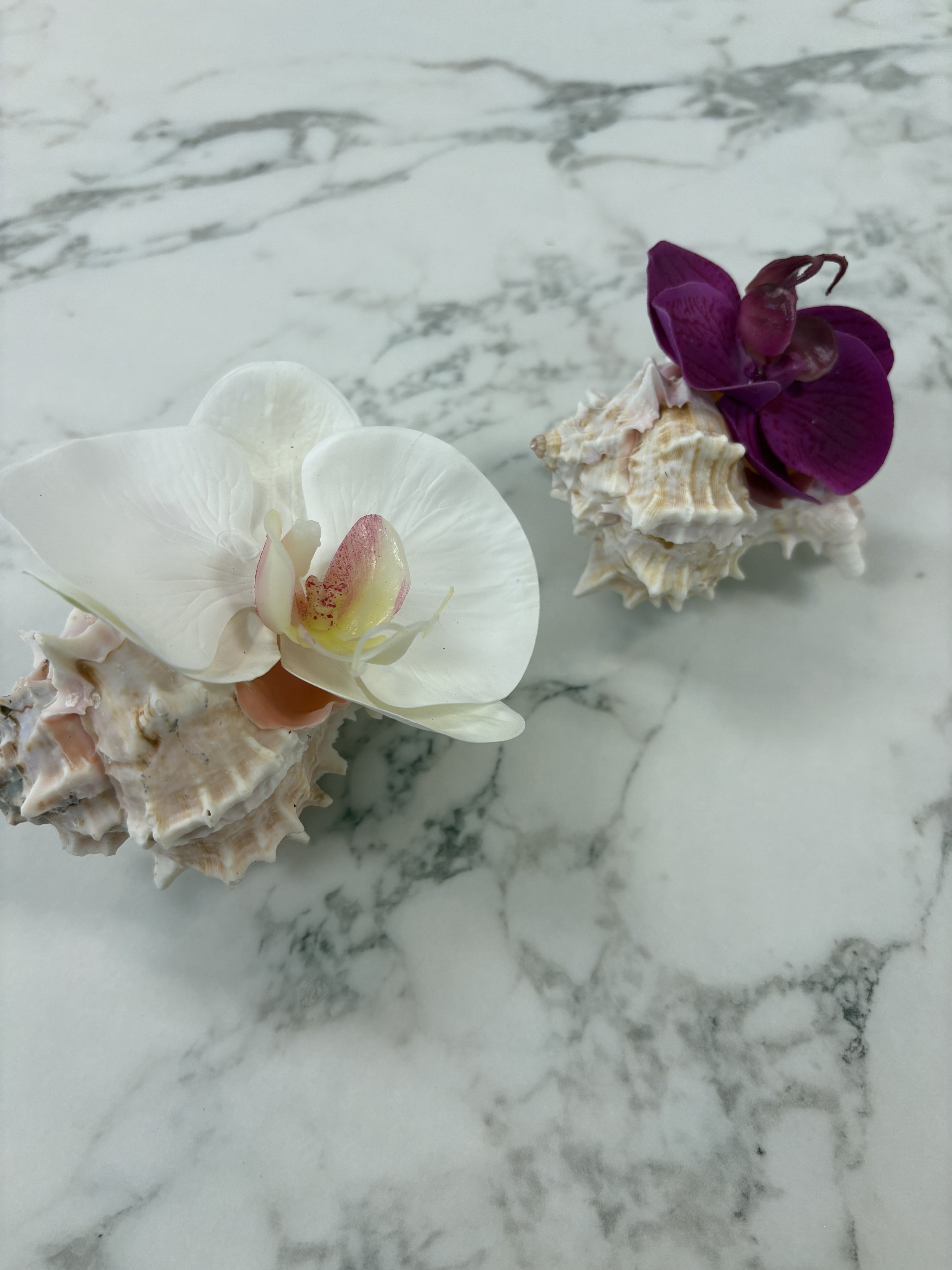 Kennie Shell with Bloom