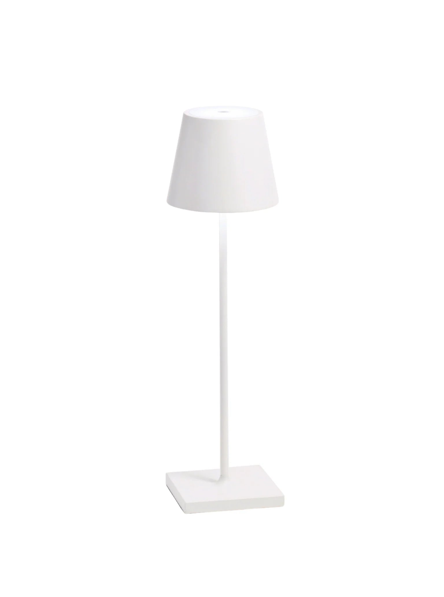 Lida Table Lamp - Salt & Creek