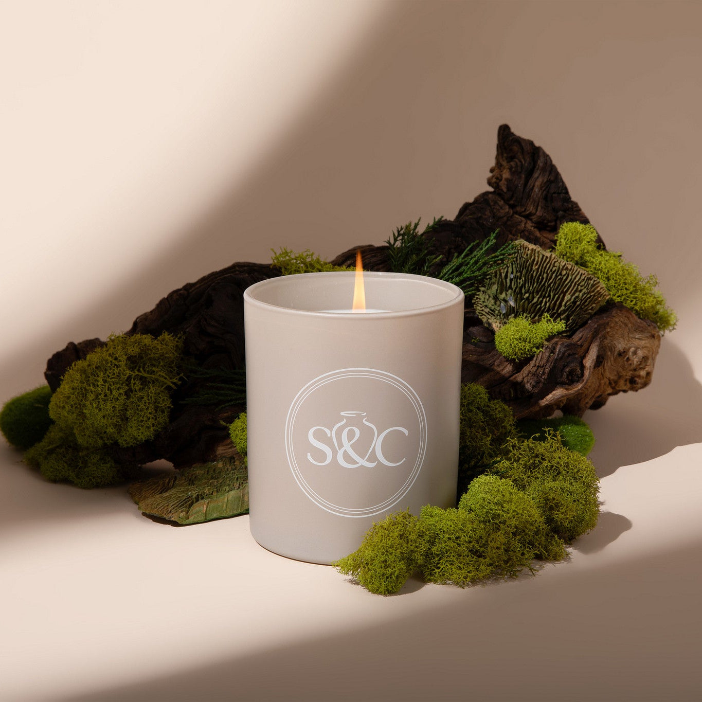 Evergreen Dunes Candle- 12 oz. | S&C Home