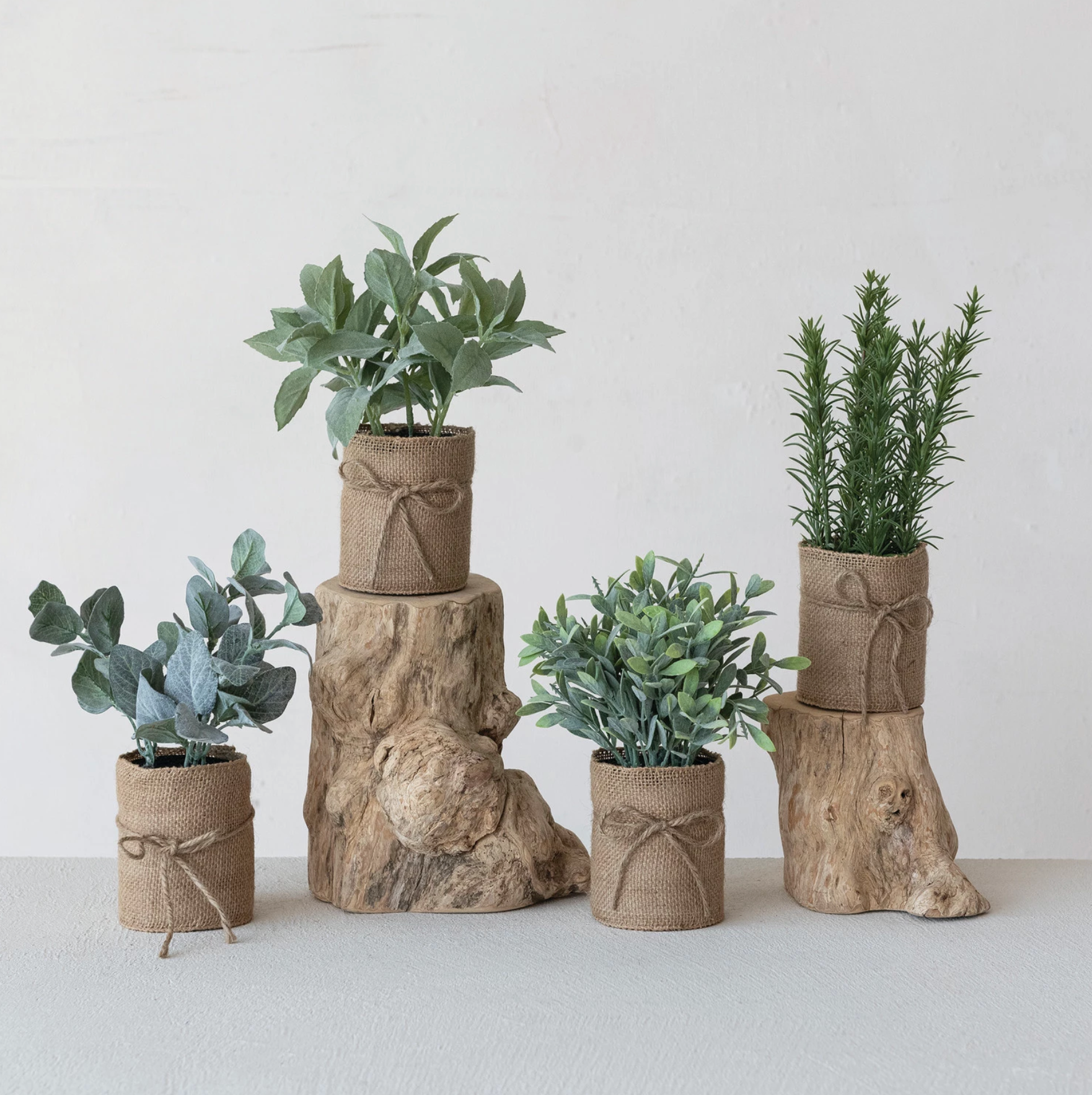 Faux Plant in Burlap Bag with Jute Bow, 4 Styles - Salt & Creek
