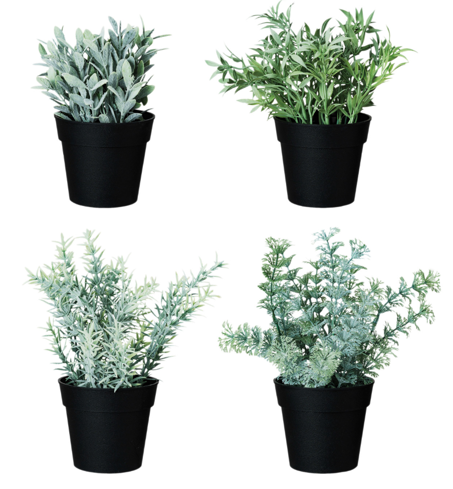 Faux Herbs in Plastic Pots, 4 Styles - Salt & Creek