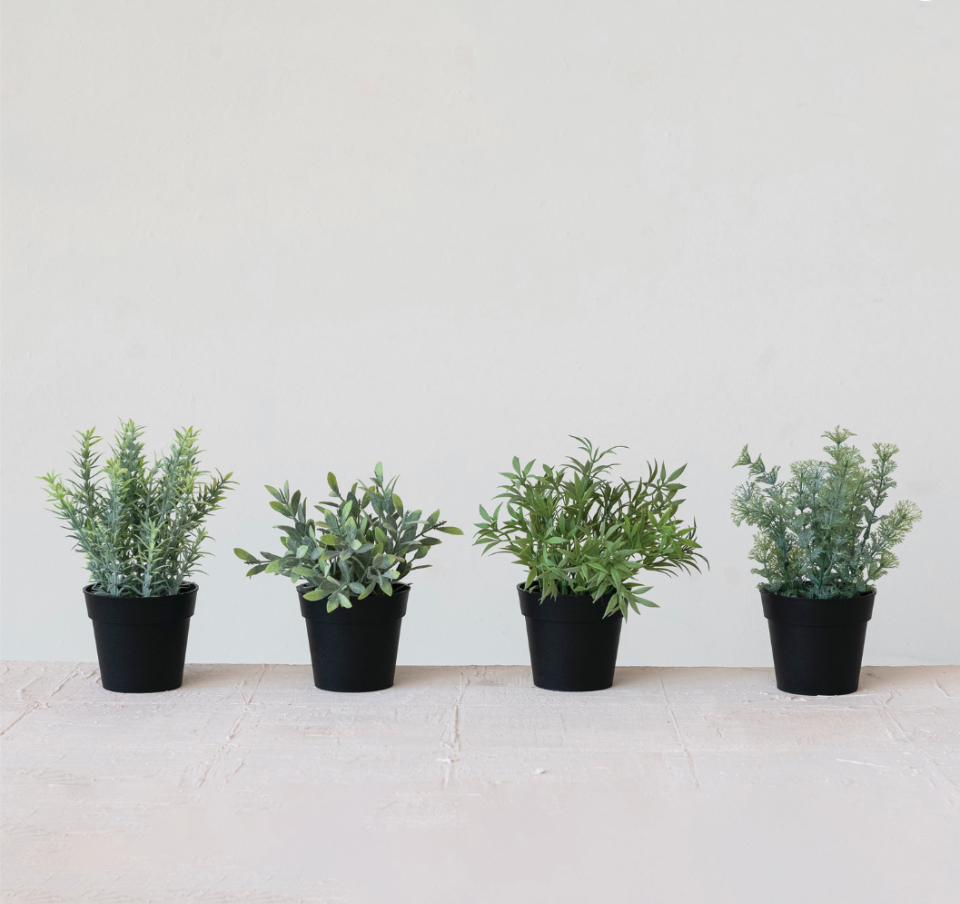 Faux Herbs in Plastic Pots, 4 Styles - Salt & Creek