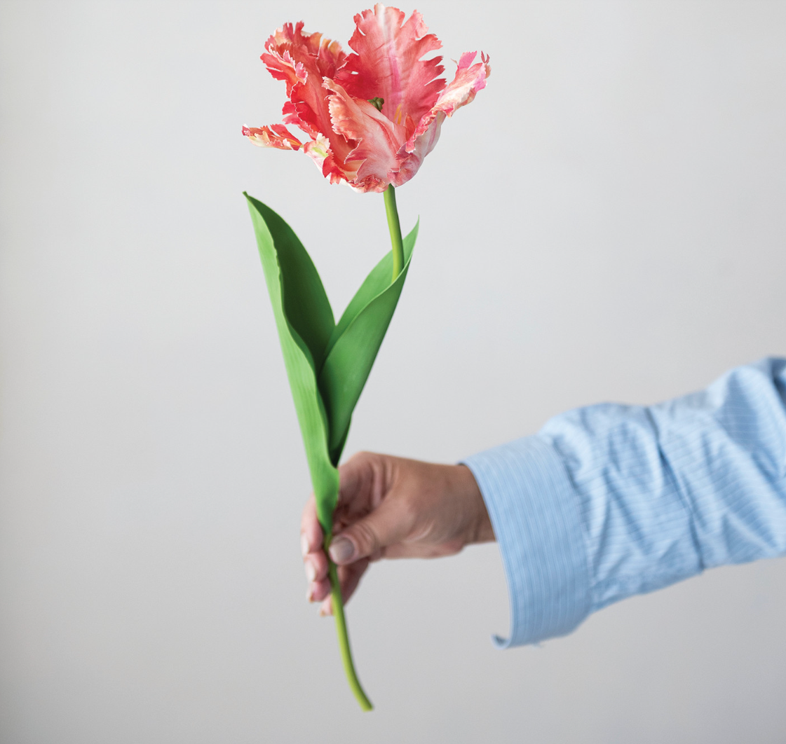 Faux Tulip Stem, 3 Colors - Salt & Creek