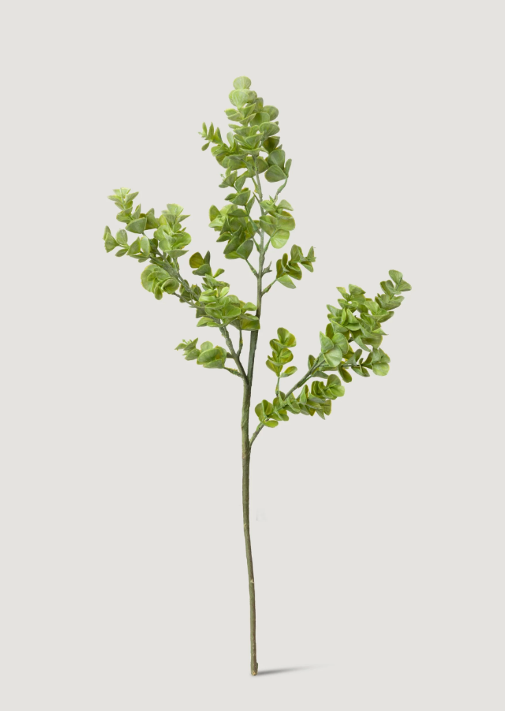 Artificial Real Touch Eucalyptus Leaf Branch - 27" - Salt & Creek