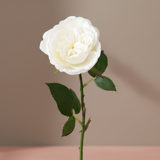 White Fake English Cabbage Rose - 20.5" - Salt & Creek