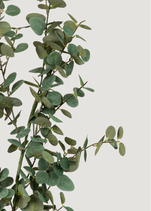 Deluxe Tall Eucalyptus Branch - 48"