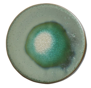 Stoneware Trivet with Glaze