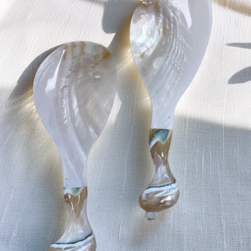 Pair of shell earrings on a textured fabric background