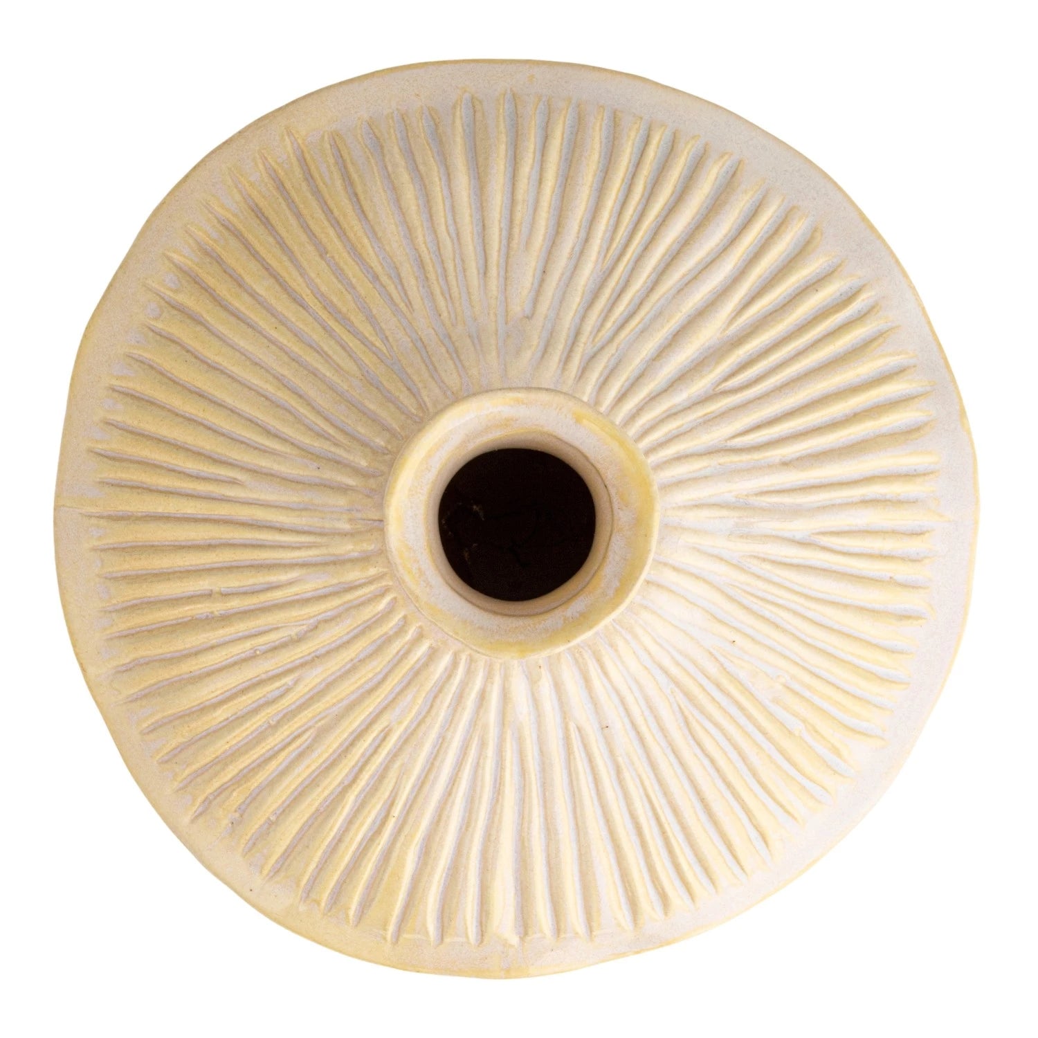 Pleated Vase - Salt & Creek