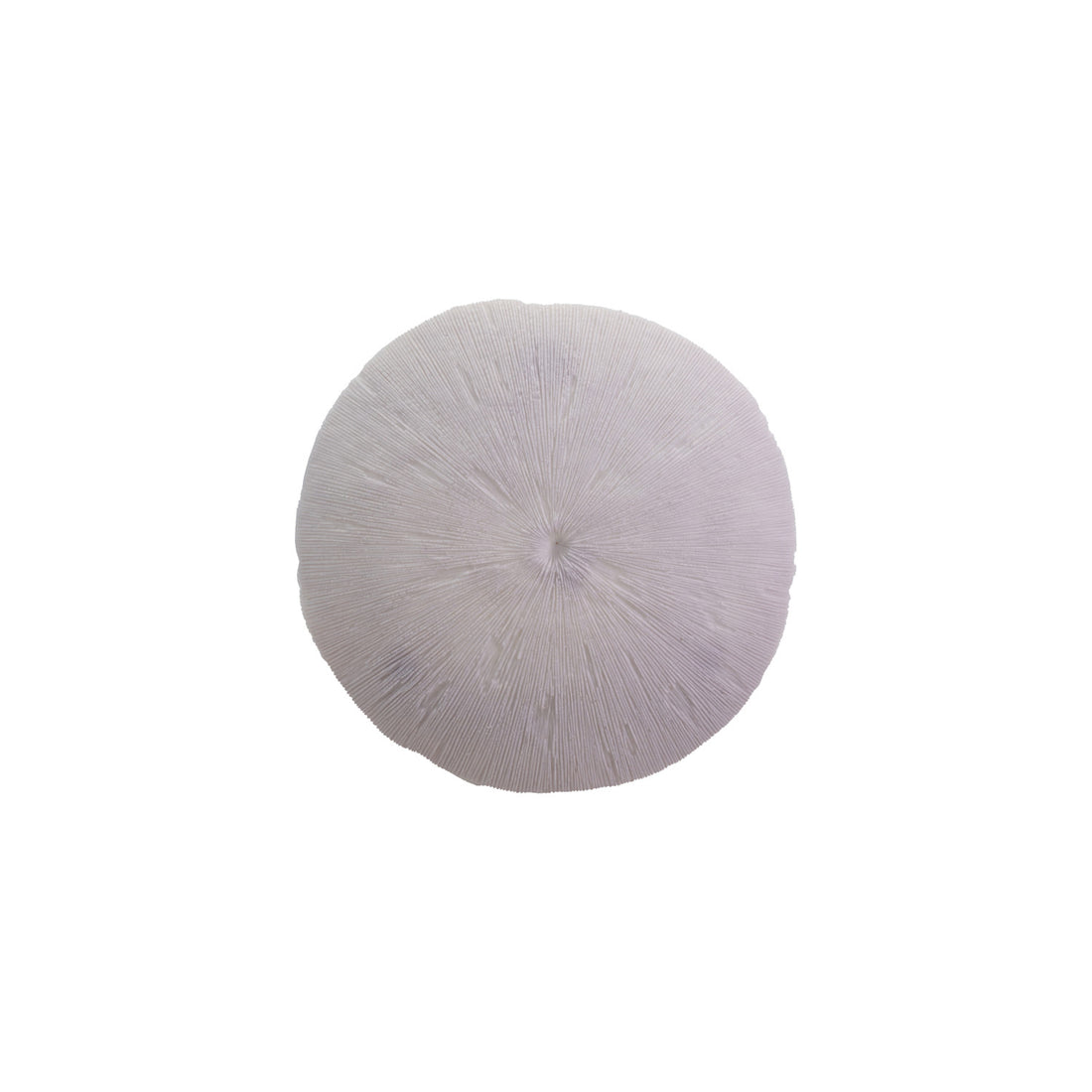 Resin Coral Shaped Wall Décor, White