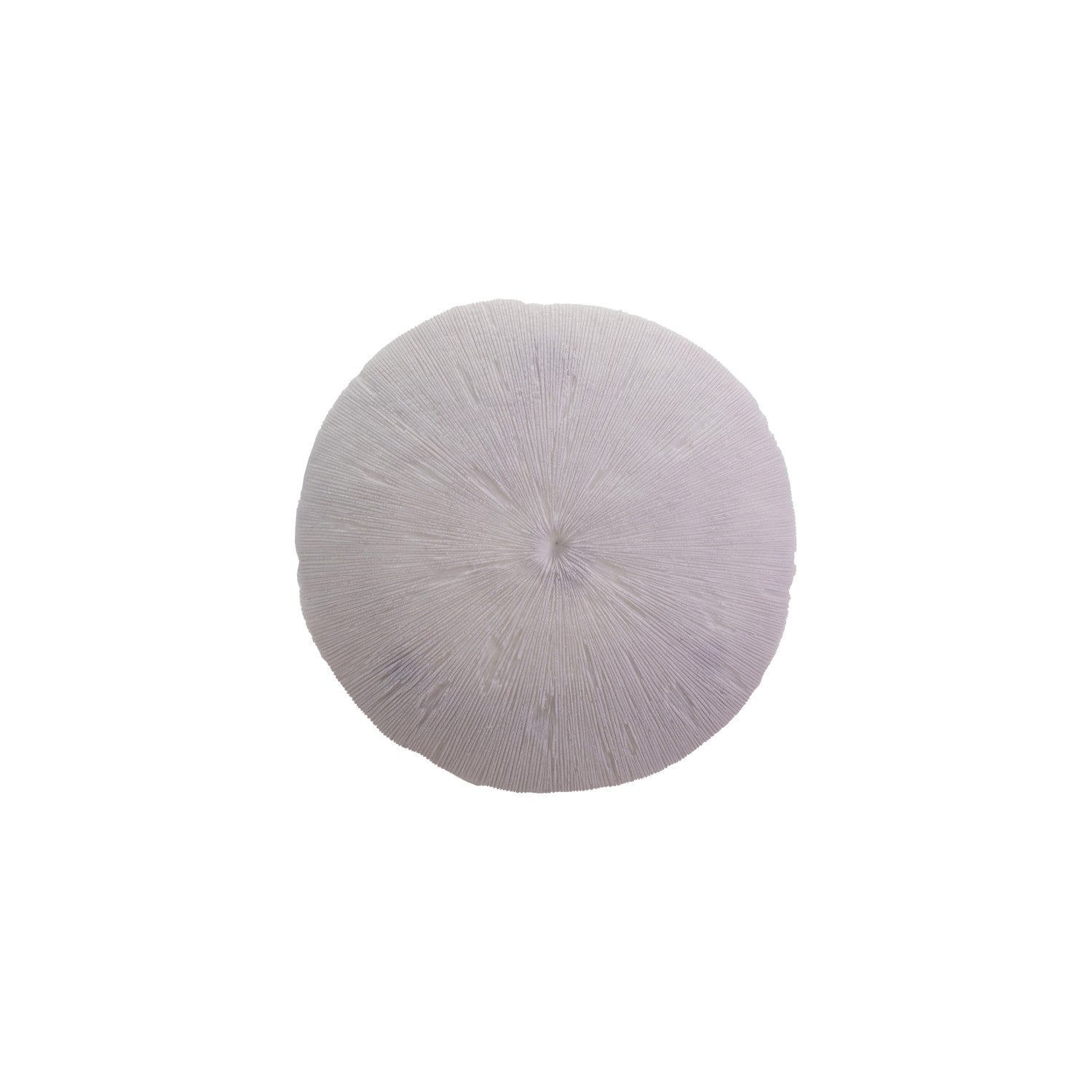 Resin Coral Shaped Wall Décor, White