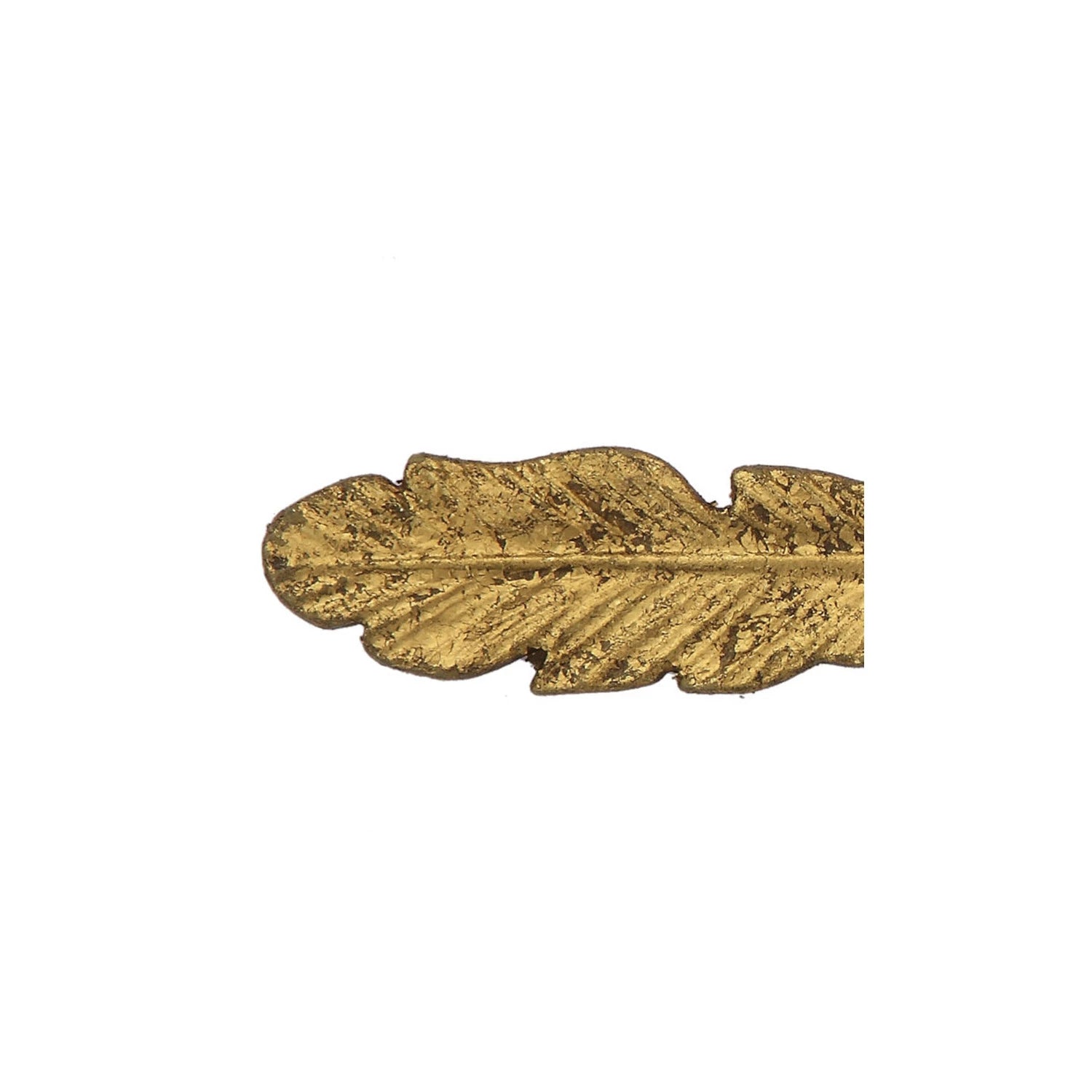 Feather Handle Magnifying Glass - Salt & Creek