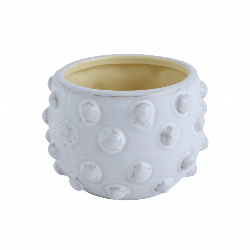 Terracotta Planter with Raised Dots