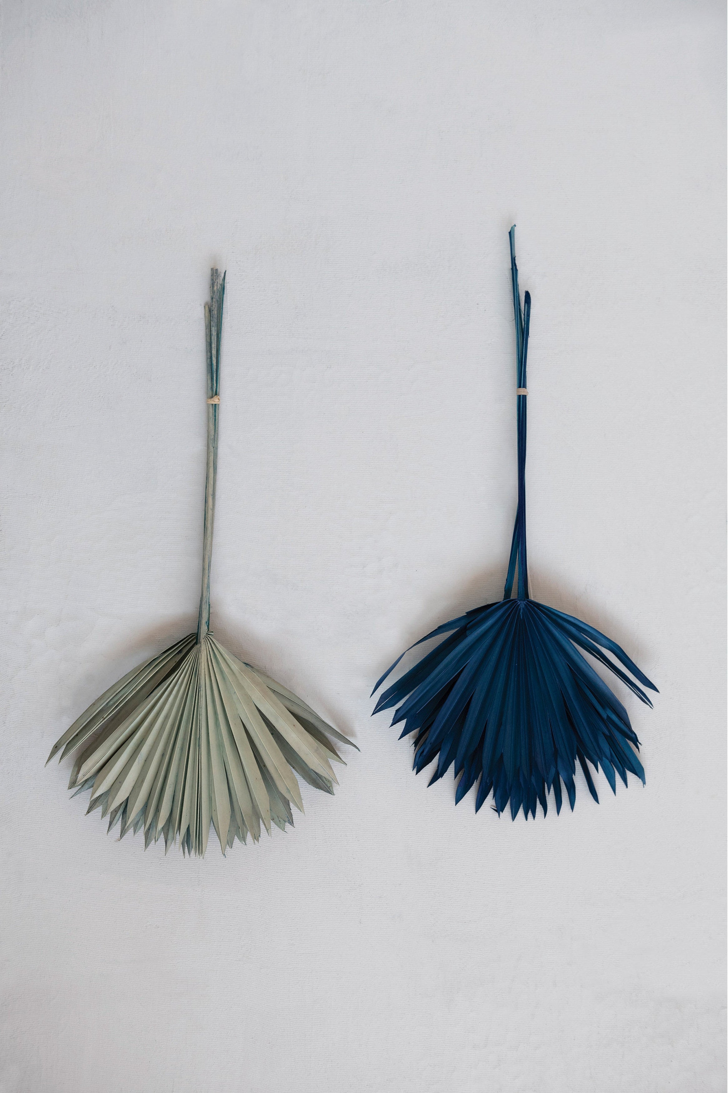 Sun Cut Palm Bunch - Salt & Creek