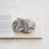 Set of Agate Coasters - Salt & Creek