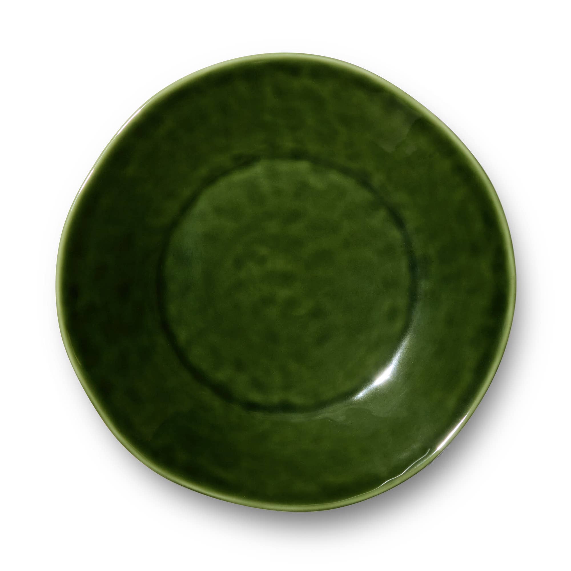 Verde Dinner Plate - Salt & Creek