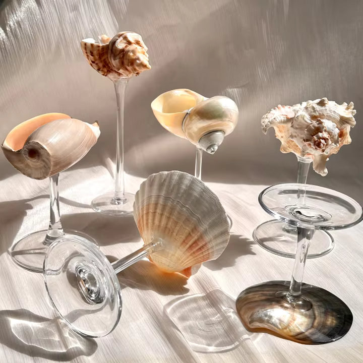 Siren Cocktail Coupe
