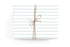 Turquoise Scallop Gift Wrap Roll - Salt & Creek