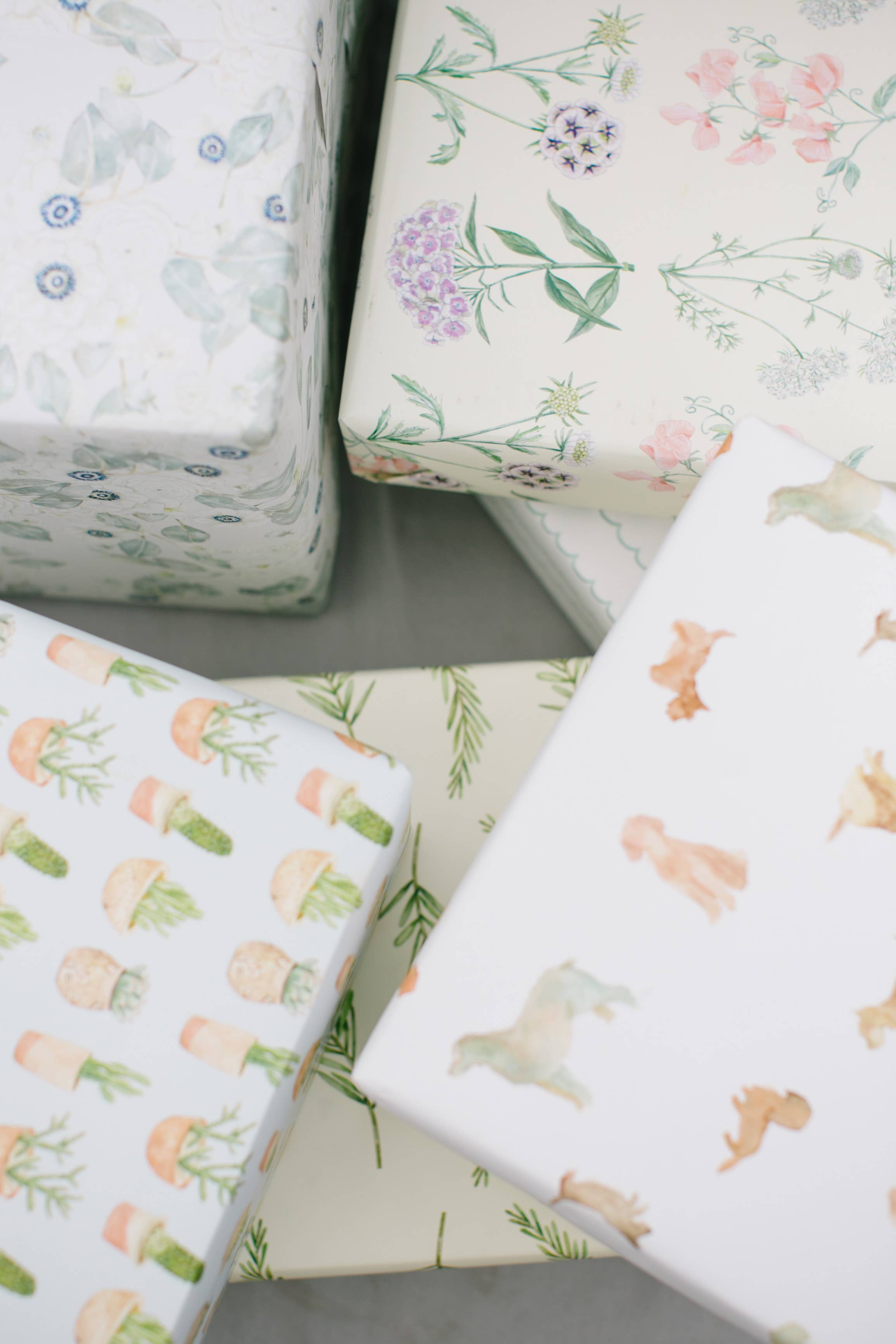 Floral Botanic Gift Wrap Roll - Salt &amp; Creek