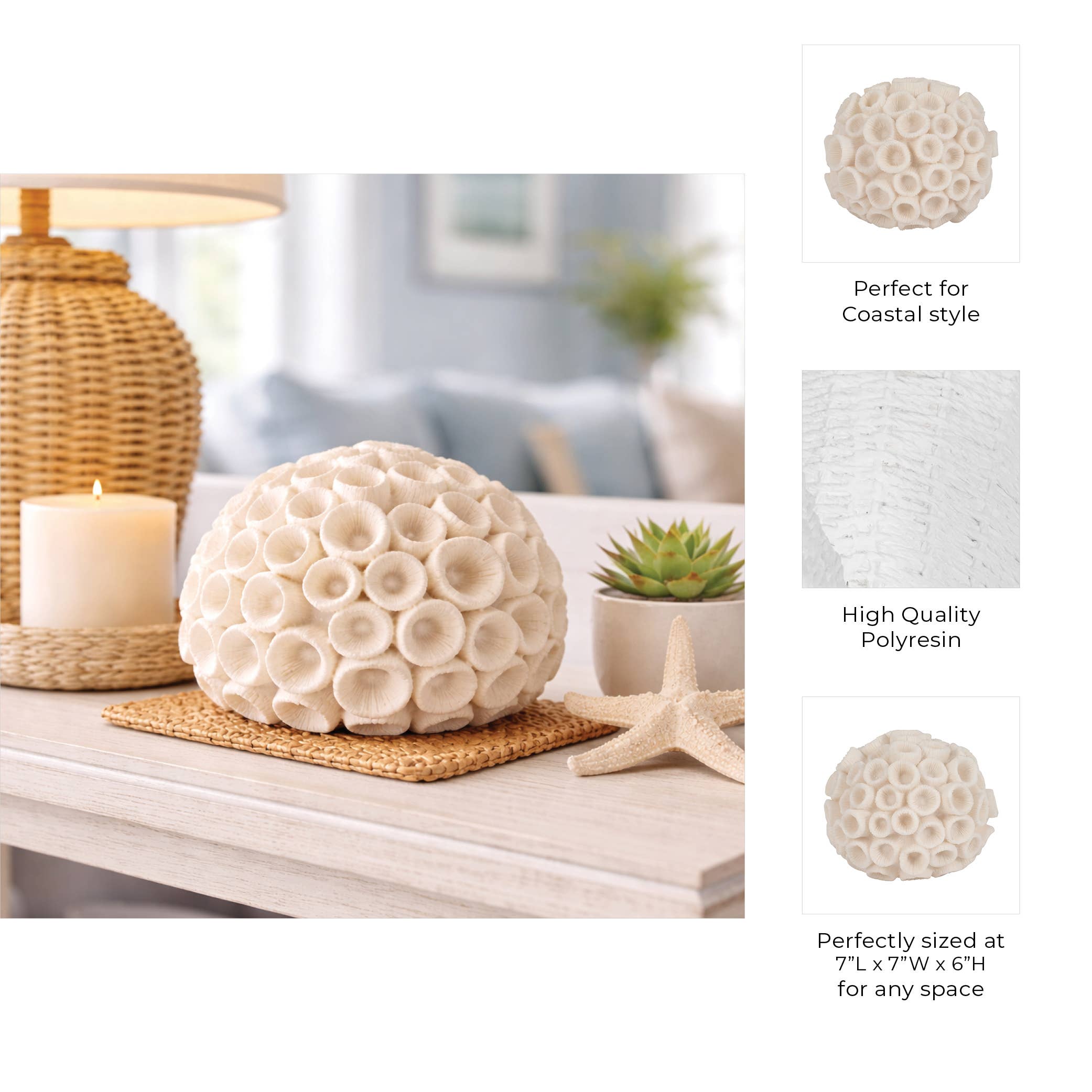 Sculptural Coral