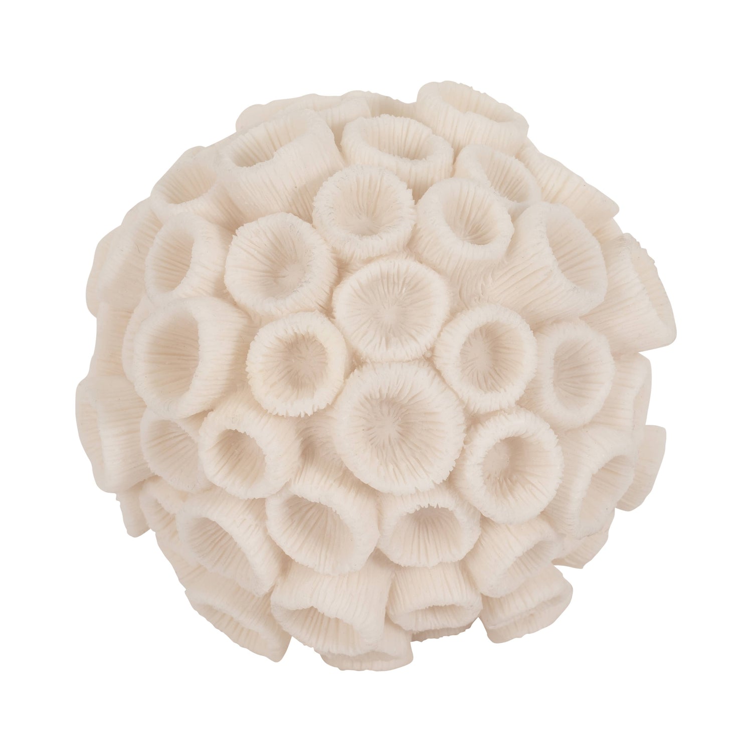 Sculptural Coral
