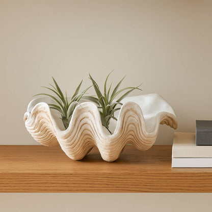 Coastal Muse Clam