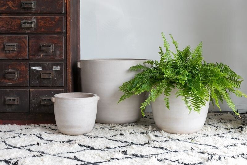 Rosalia Pot - Salt &amp; Creek