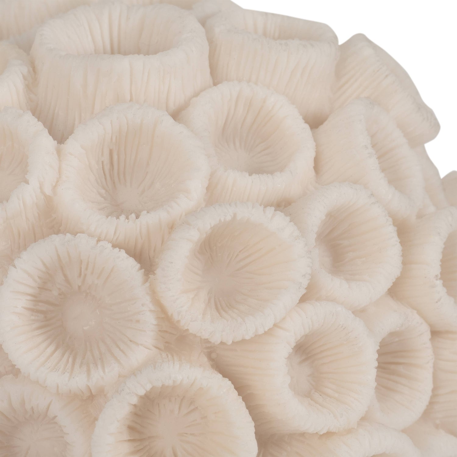 Sculptural Coral