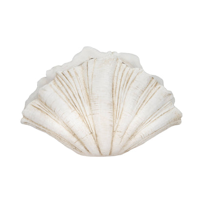 Coastal Scallop Shell