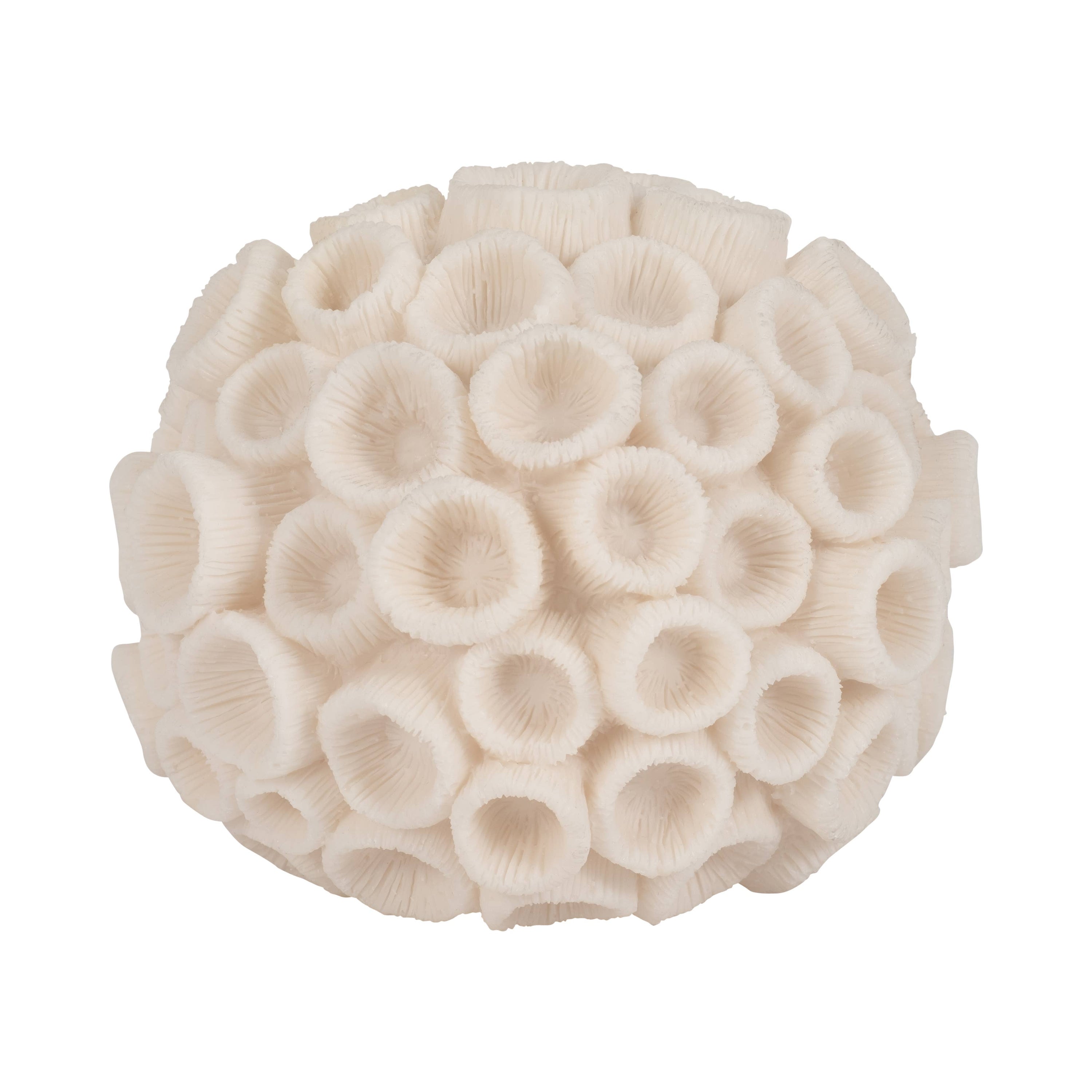 Sculptural Coral