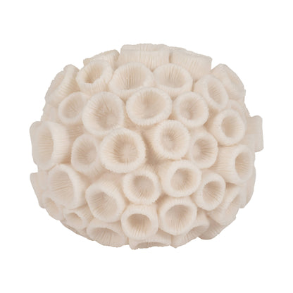 Sculptural Coral
