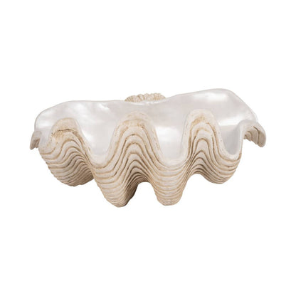 Coastal Muse Clam