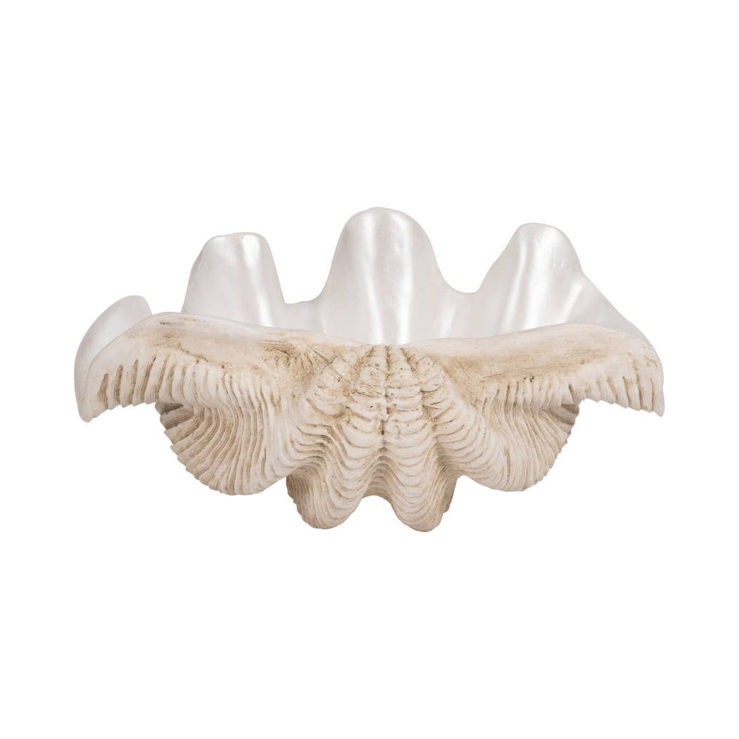 Coastal Muse Clam