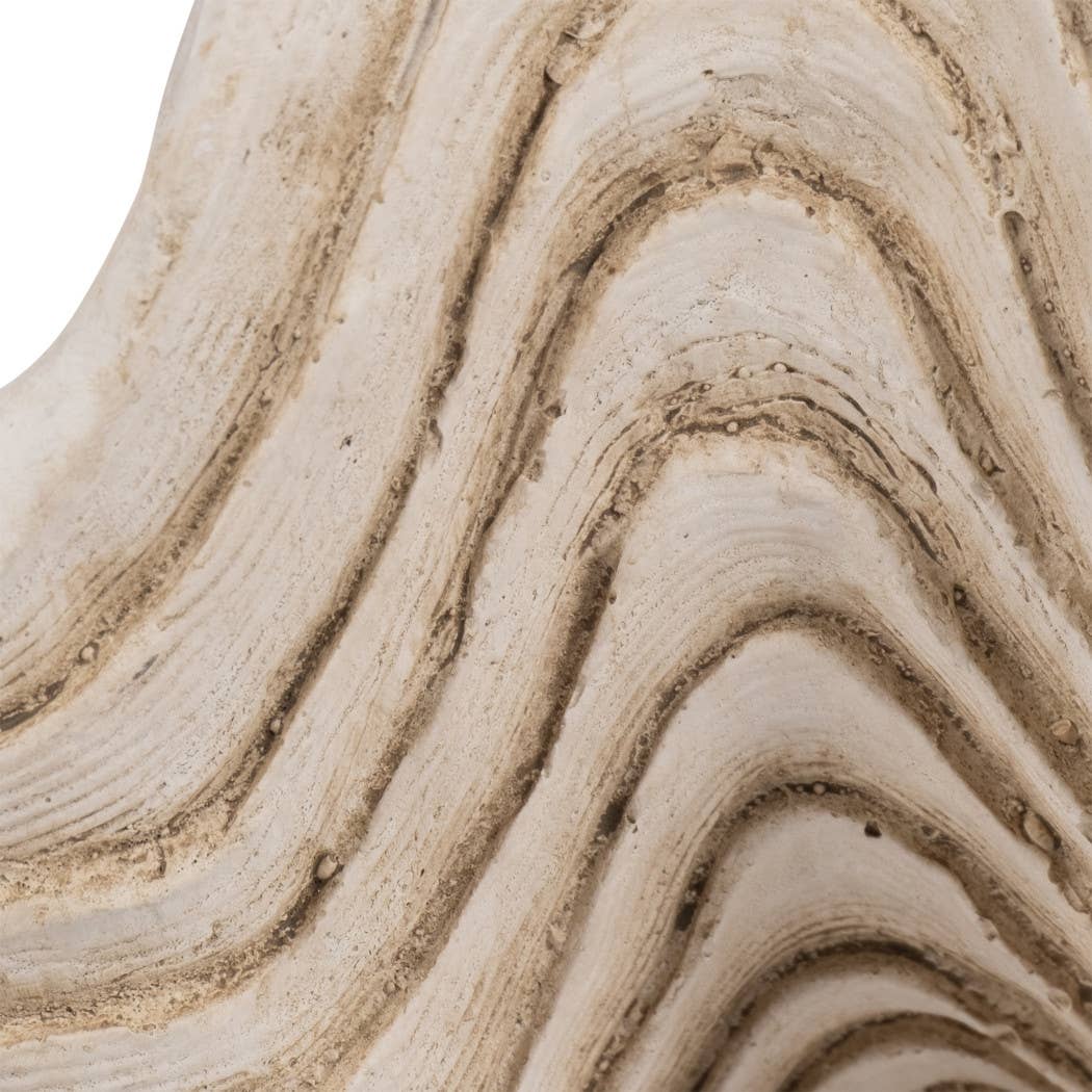 Coastal Muse Clam