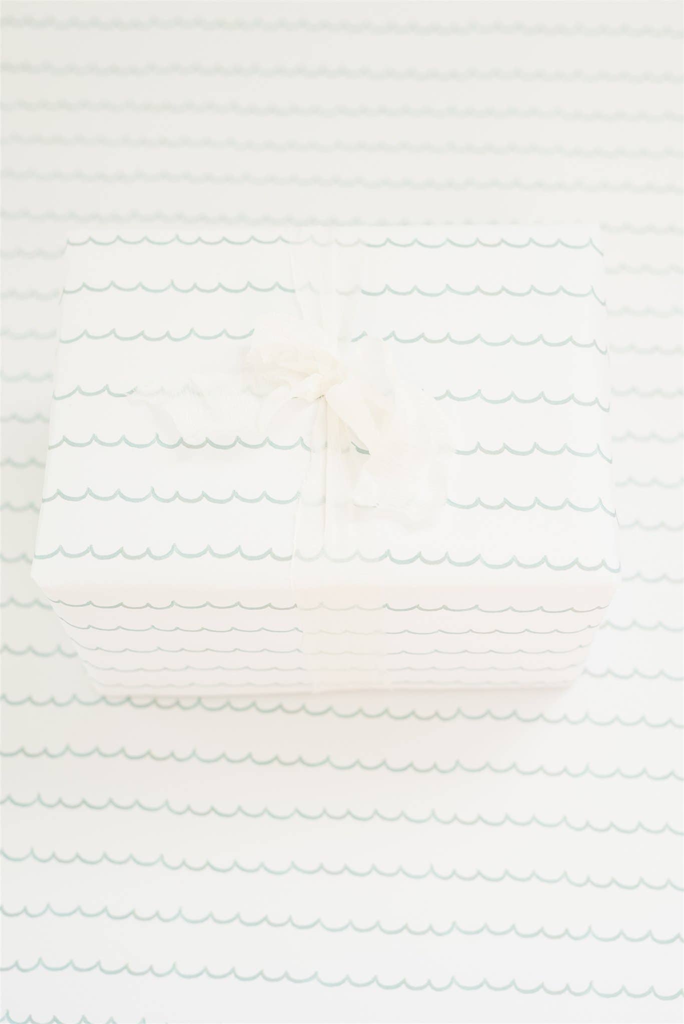 Turquoise Scallop Gift Wrap Roll - Salt &amp; Creek