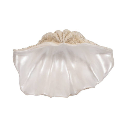 Coastal Muse Clam