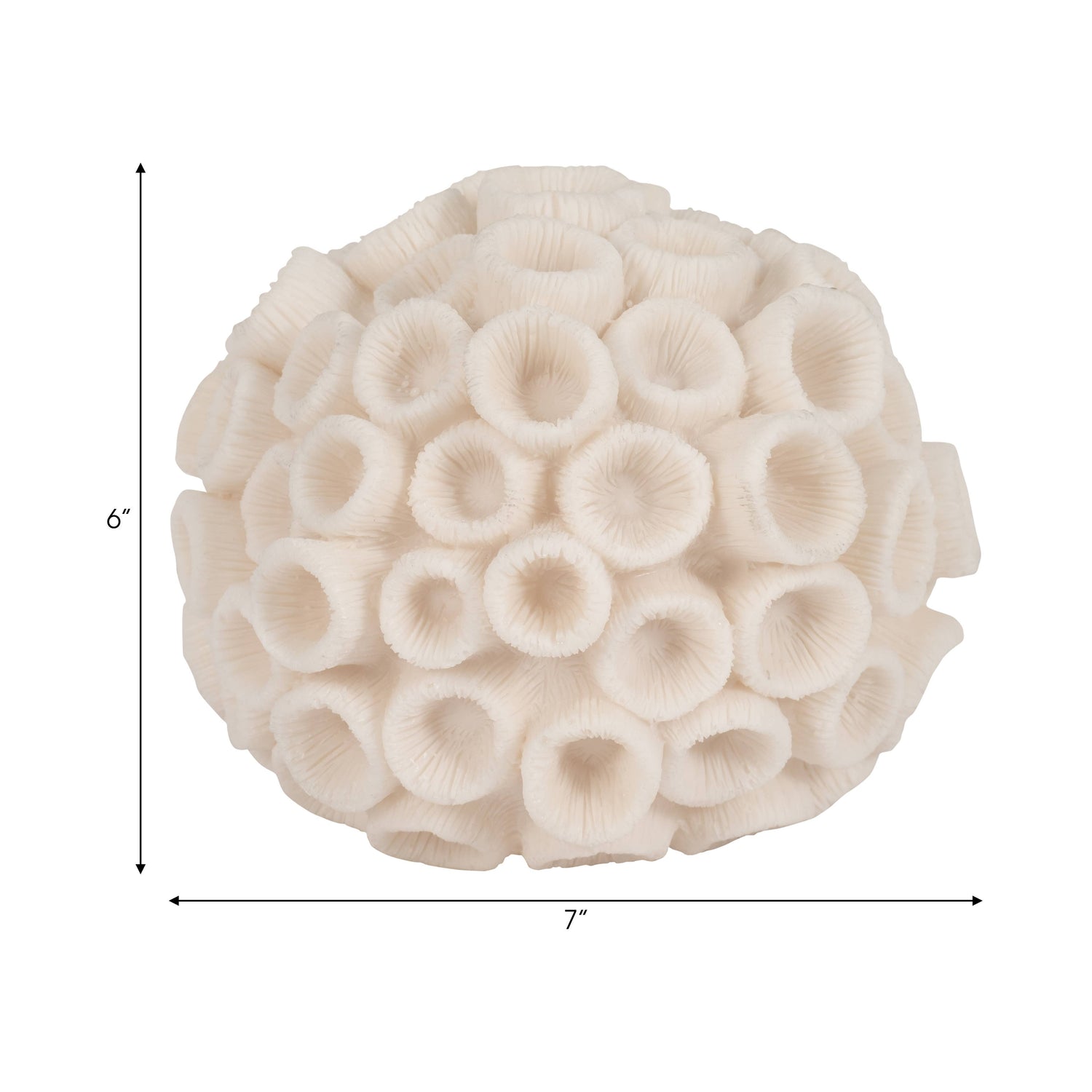 Sculptural Coral