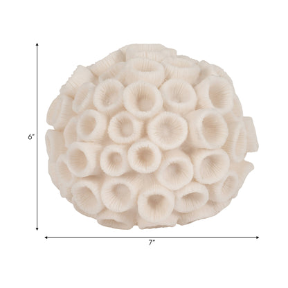 Sculptural Coral